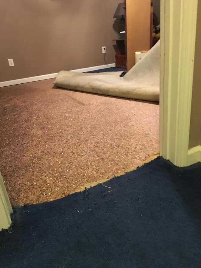 Carpet pad removal revealing water damage during Drying & Dehumidification in Hoquiam
