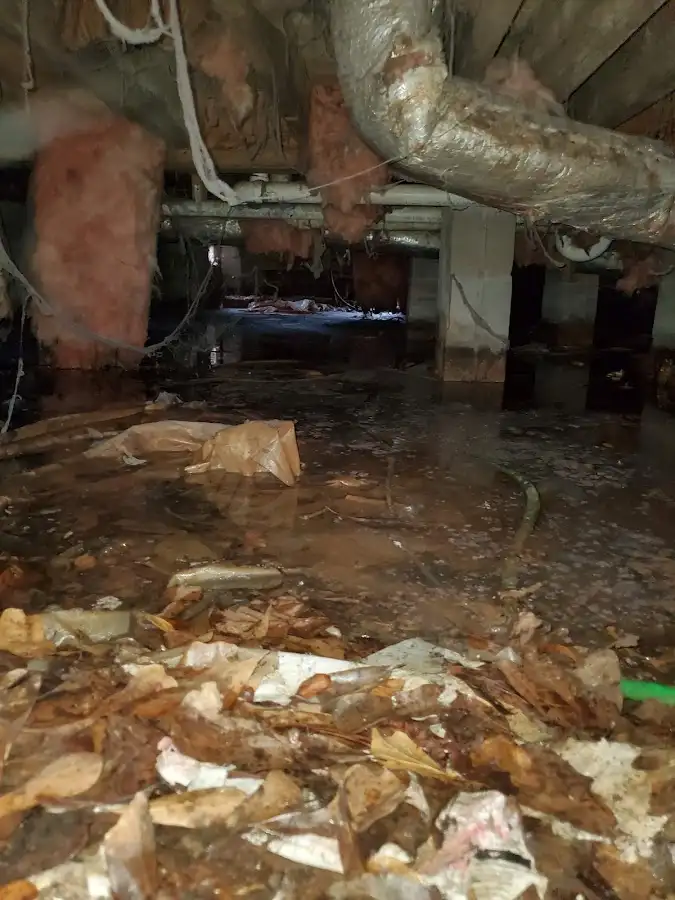 Crawl space flood assessment for Leak Detection & Repair in Hoquiam