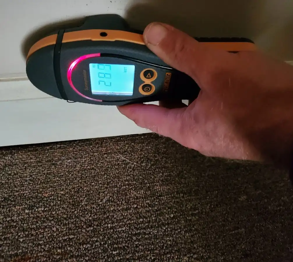Moisture detection at baseboard during Sewage Cleanup & Sanitation in Hoquiam